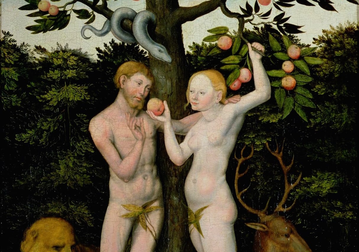 "God Made Adam and Eve, Not Adam and Steve" and Other Things. 